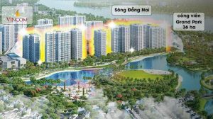 phân tích chi tiết the beverly