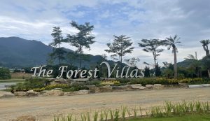 review The Forest Villas Hoà Bình
