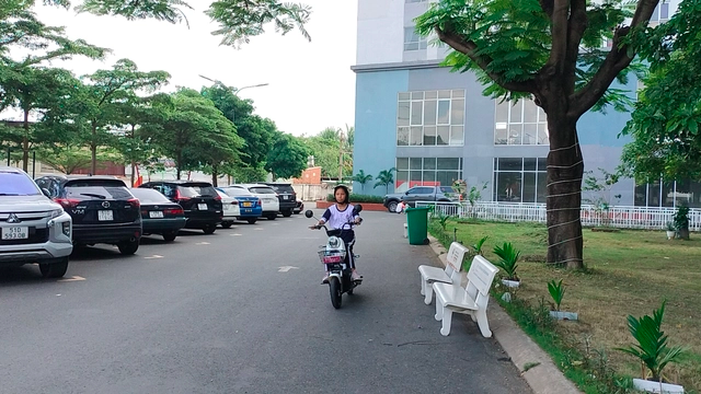 Ngọc Anh Zentowoer