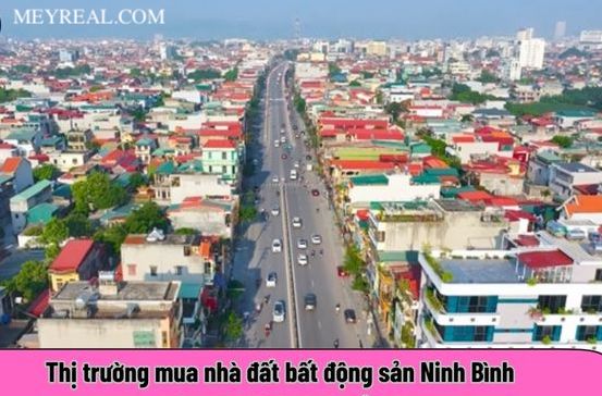 Tra cứu tình hình thị trường bất động sản Ninh Bình tại Meyreal.com